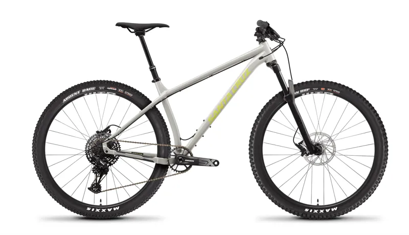 Santa cruz chameleon sales 29